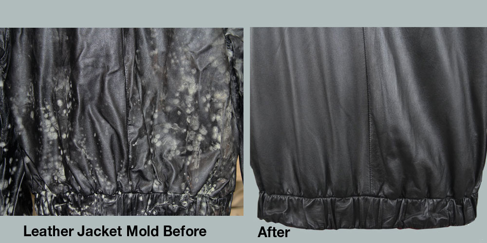 Mold on a Leather Jacket